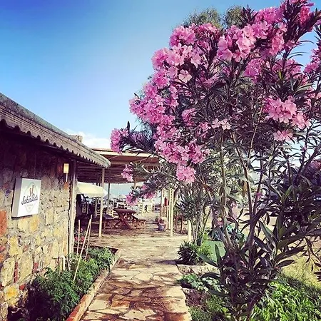 Resort Slow West Glamping *